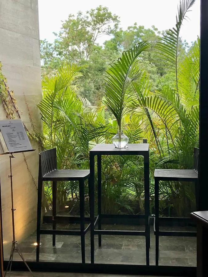 Mistiq Largest Ph Studio With Gym, Beach Club Shuttle & Fast Wifi Tulum